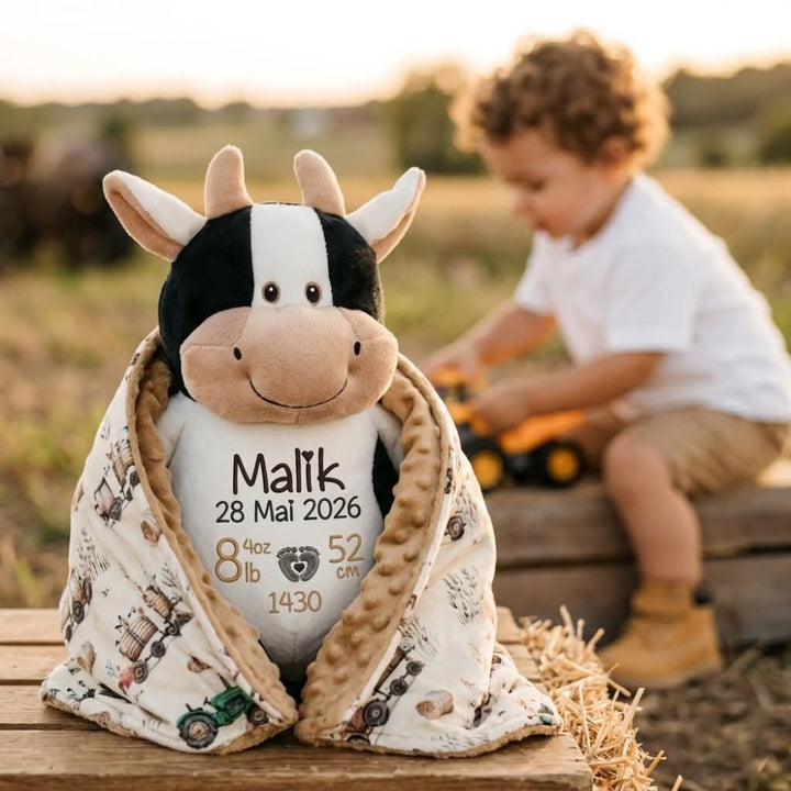 cow and blanket